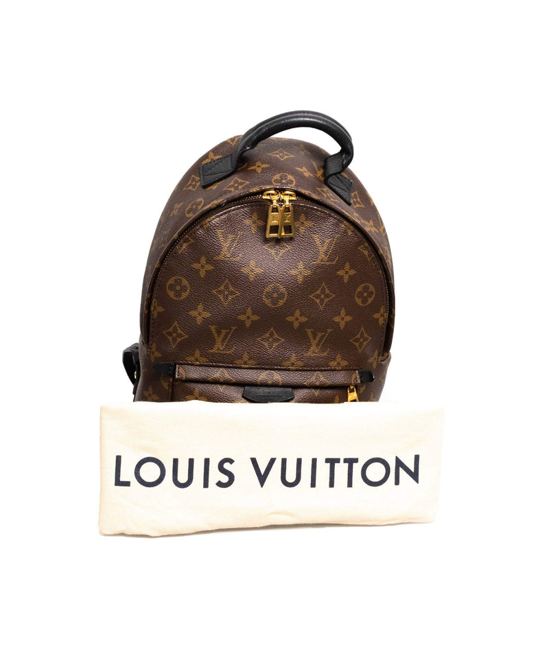 Louis Vuitton Palm Springs Mini Backpack Brown Canvas *New with Original  Receipt 