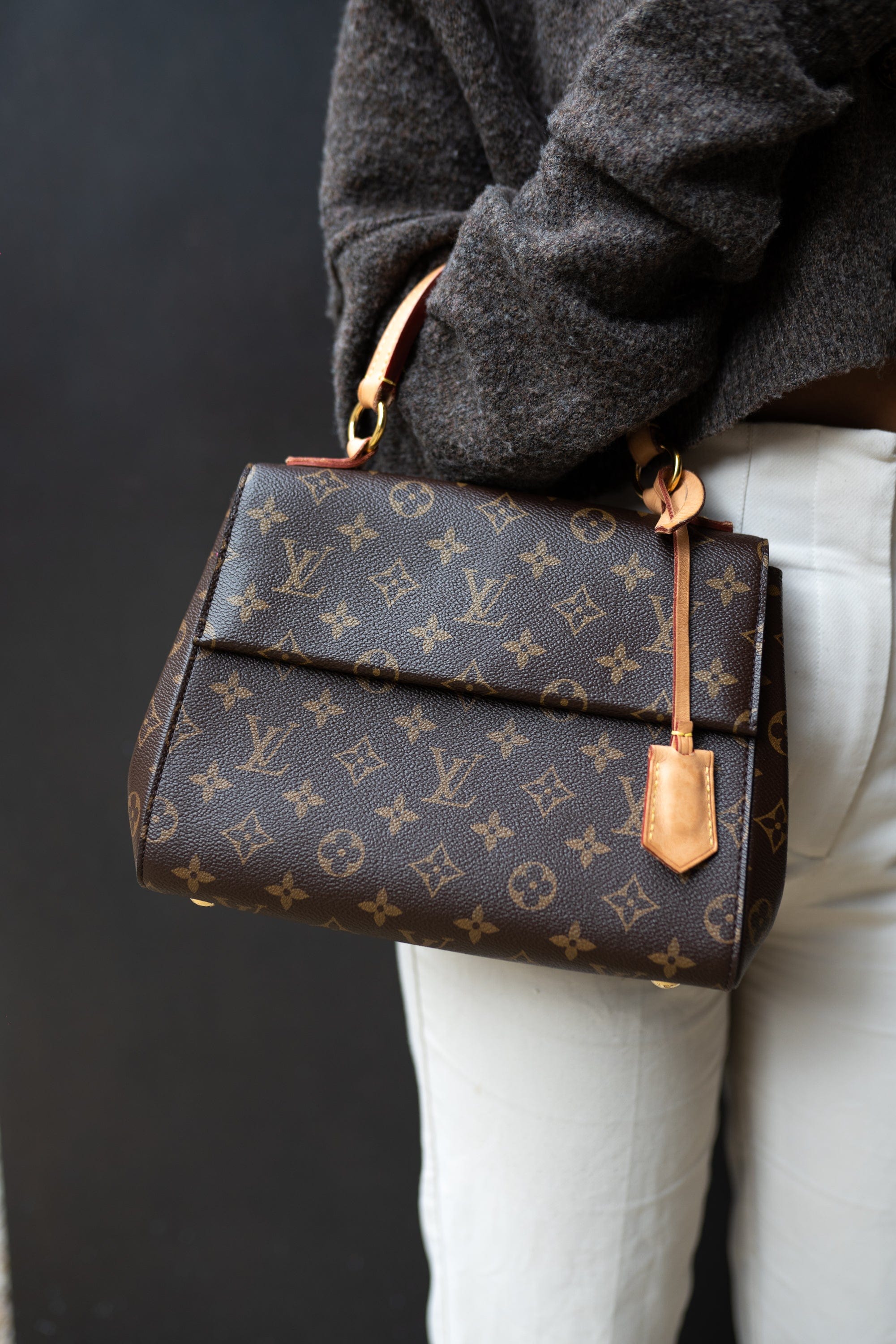 Louis Vuitton Louis Vuitton Monogram Top Handle Bag - AGL1760