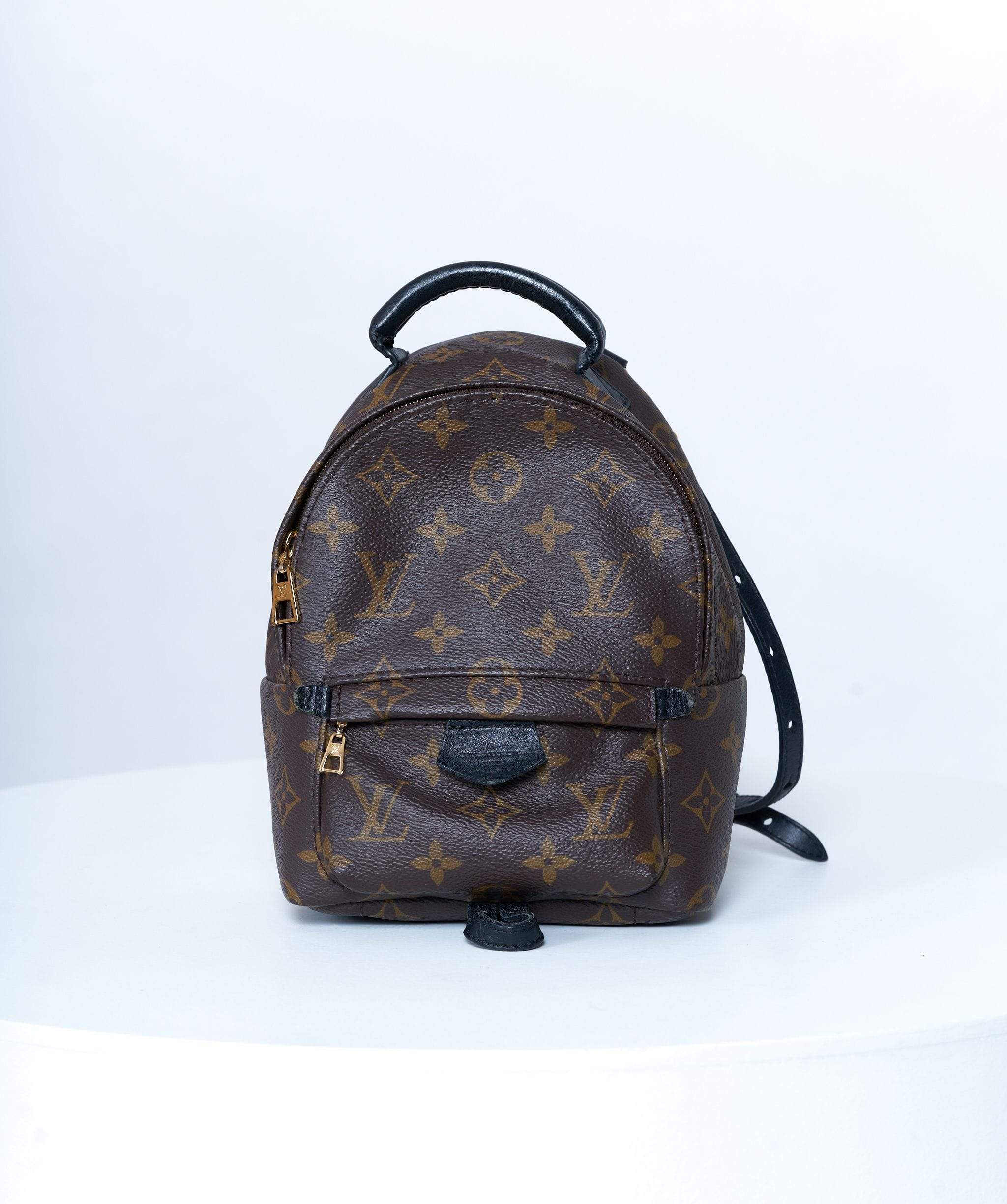 Louis Vuitton Louis Vuitton Palm Springs Backpack