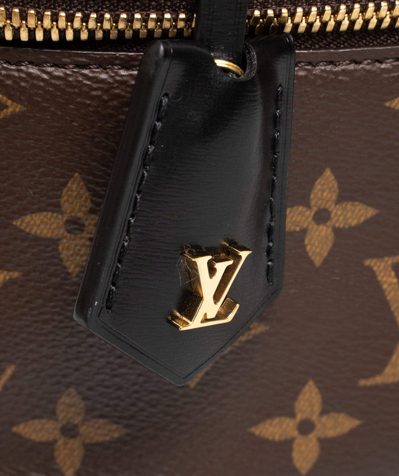 Louis Vuitton, Bags, Louis Vuitton Lv Logo Vanity Pm Monogram Leather  Handle Crossbody Bag