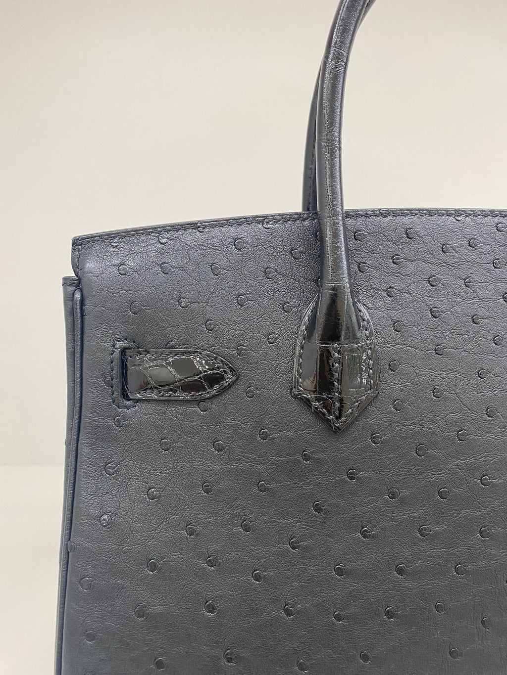 Hermes Bicolor Alligator and Ostrich Birkin Touch 30 Bag – The Closet